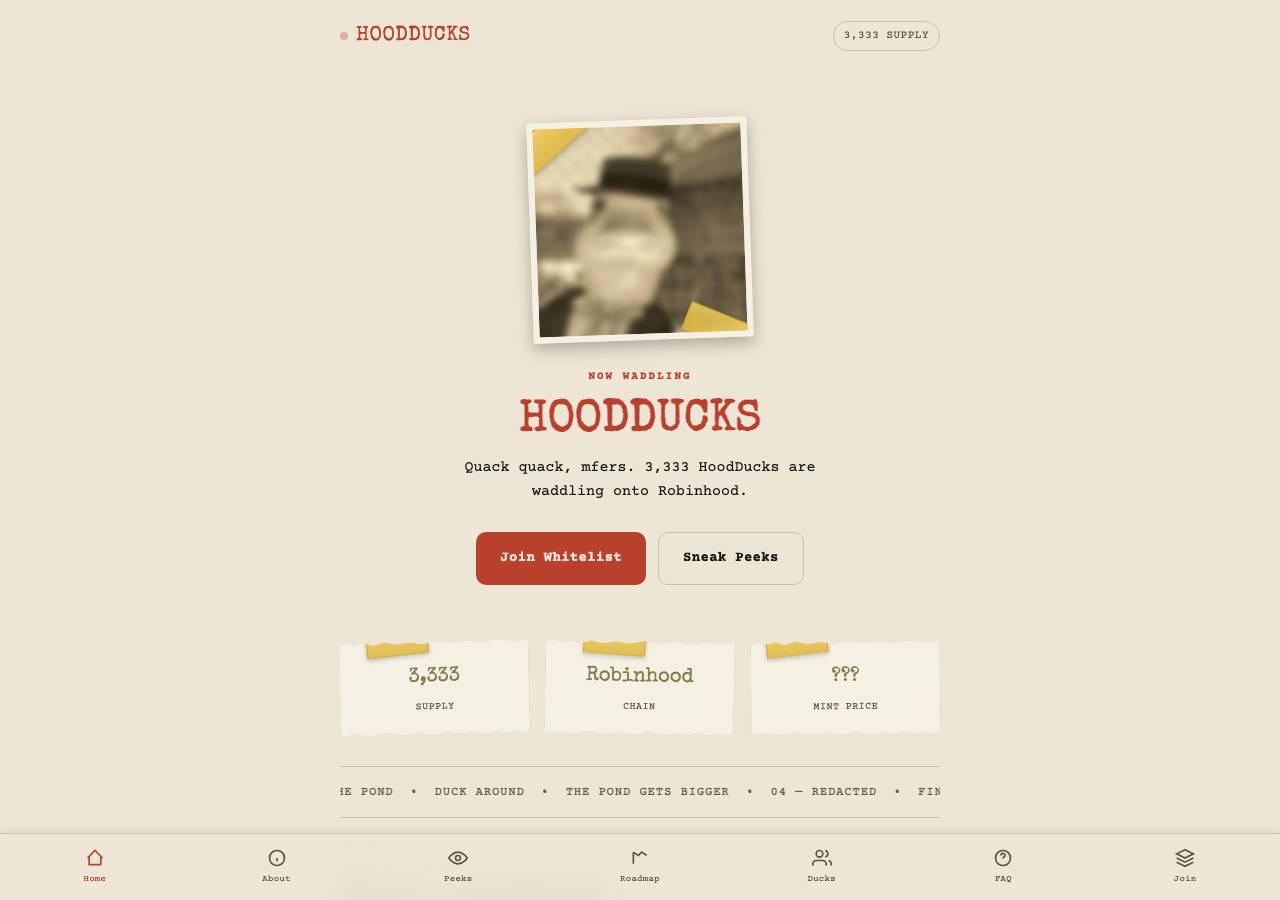 Screenshot of hoodducks.fun taken by the zone census on 2026-08-28