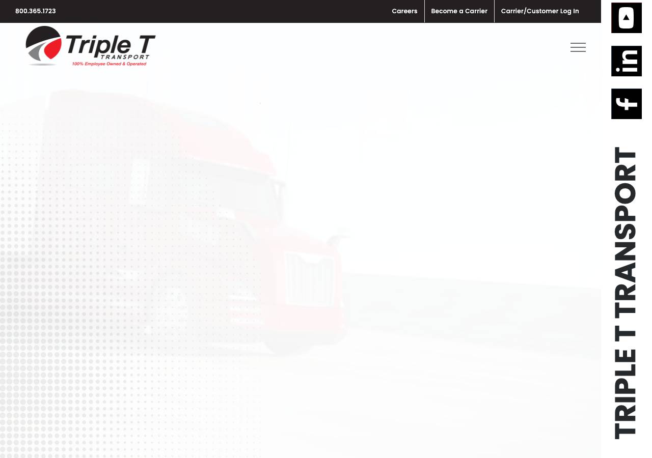 Screenshot of triplettransport.xyz taken by the zone census on 2026-08-28