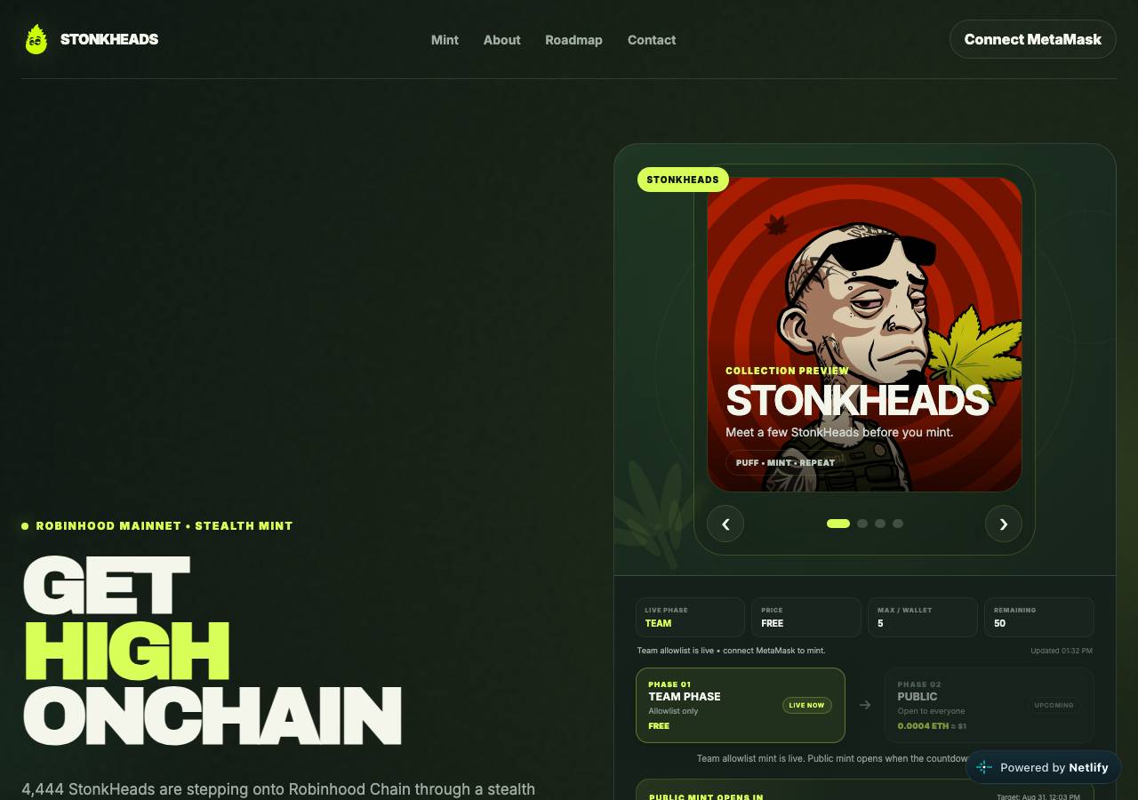 Screenshot of stonkheads.xyz taken by the zone census on 2026-08-30