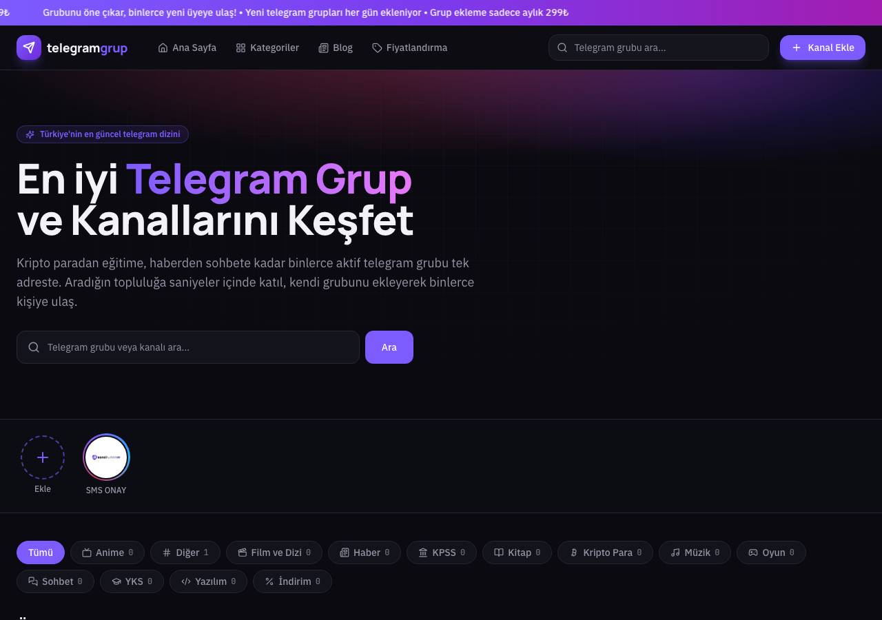 Screenshot of telegramgrup.org taken by the zone census on 2026-08-30