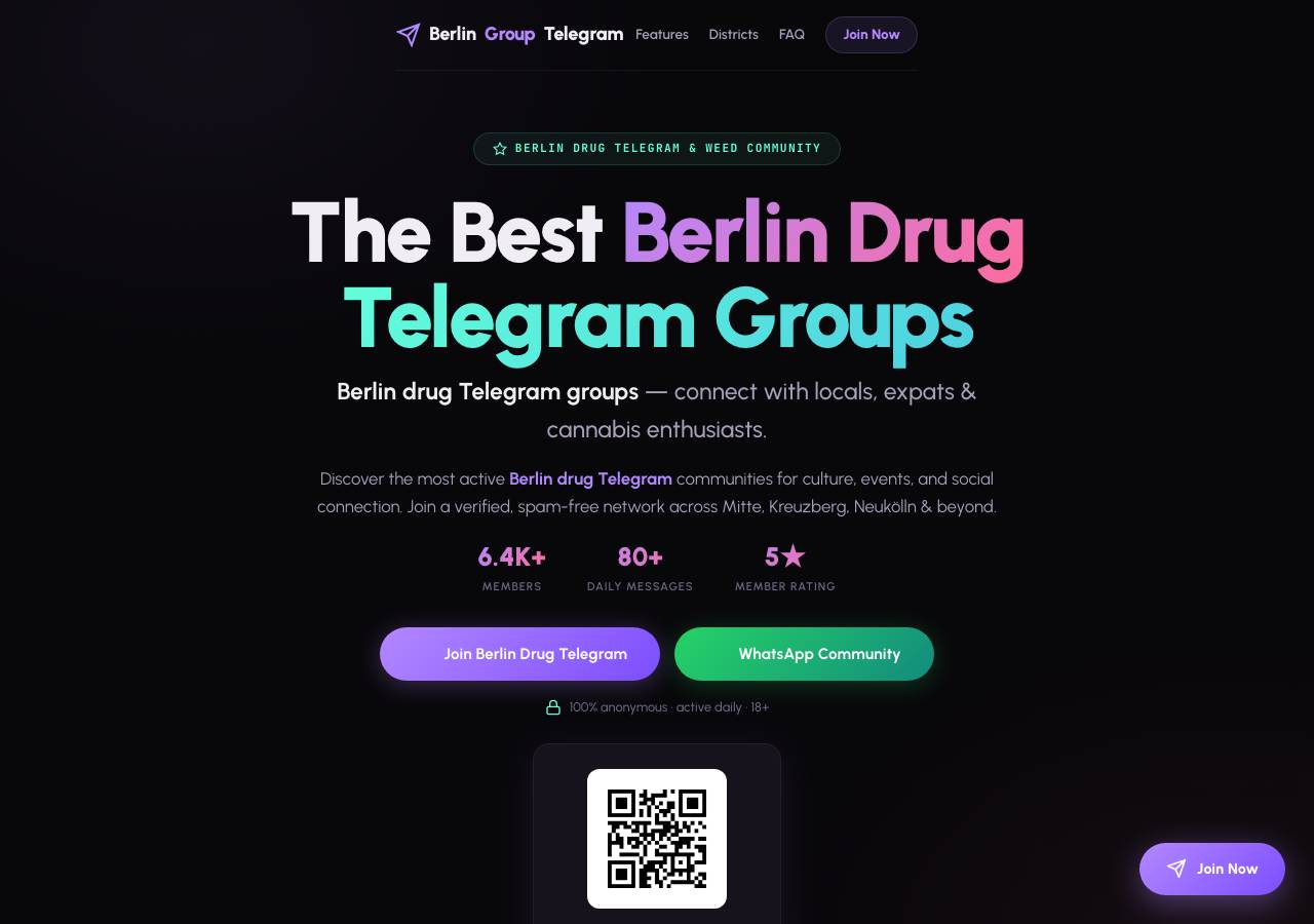Screenshot of berlingrouptelegram.com taken by the zone census on 2026-09-01
