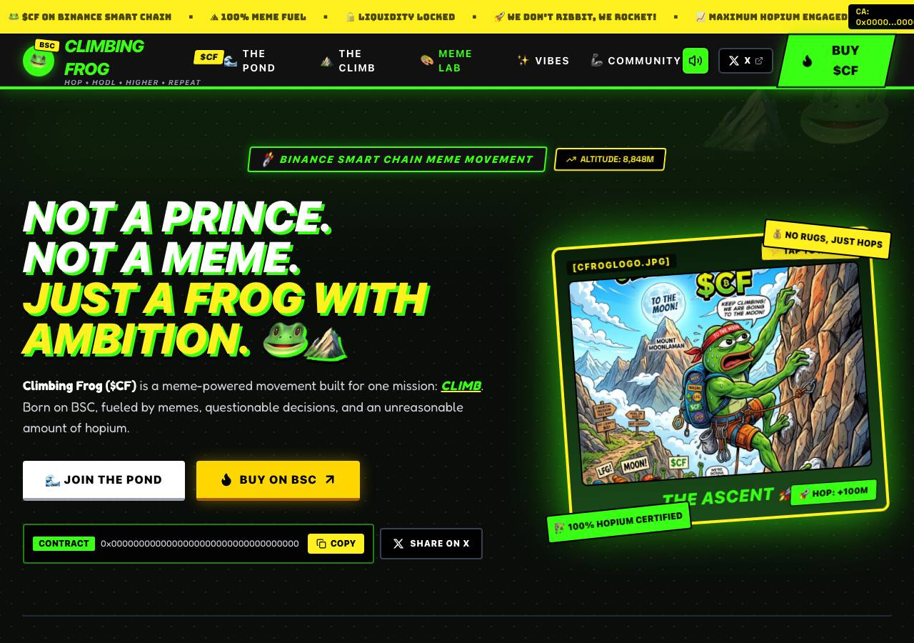 Screenshot of cfonbsc.xyz taken by the zone census on 2026-09-01