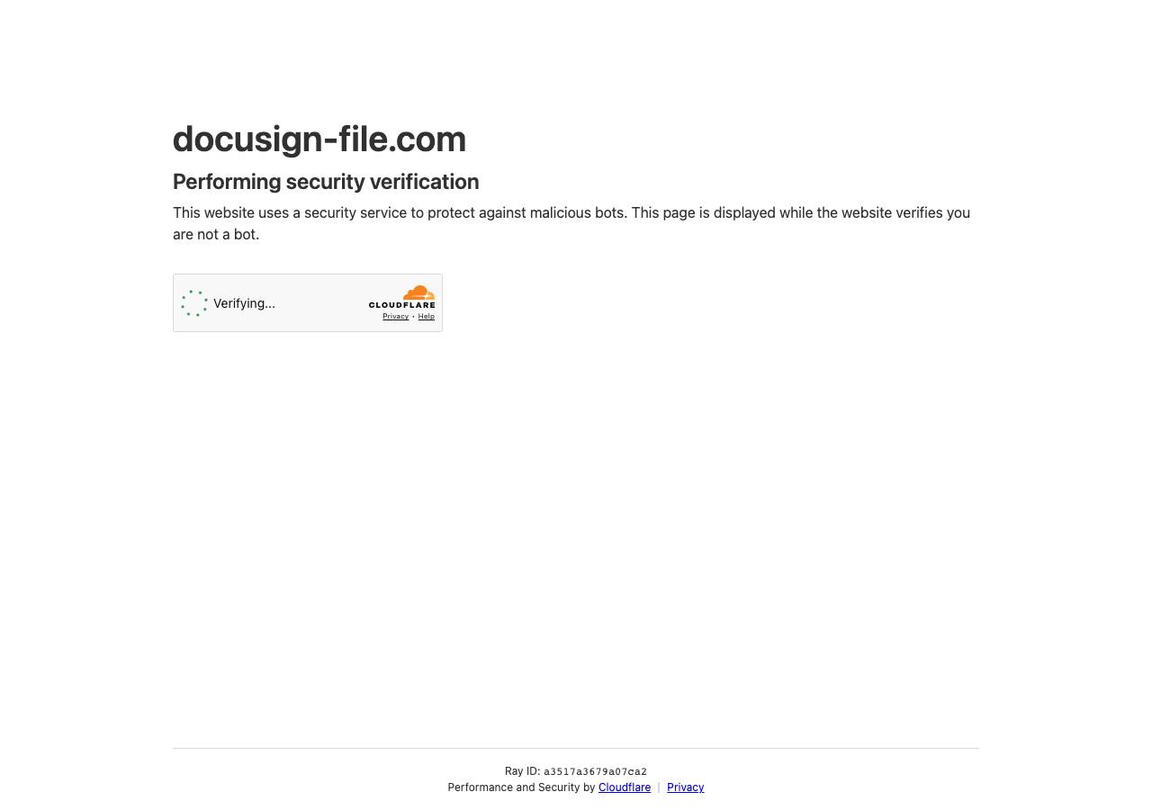 Screenshot of docusign-file.com taken by the zone census on 2026-09-01