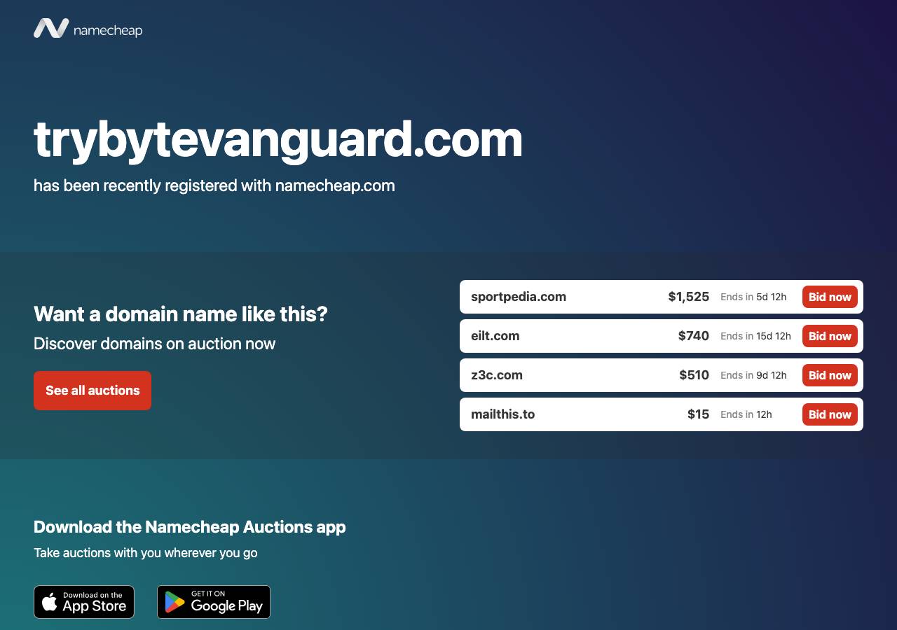 Screenshot of trybytevanguard.com taken by the zone census on 2026-09-01