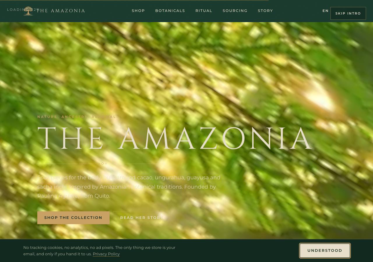 Screenshot of theamazonia.shop taken by the zone census on 2026-09-03
