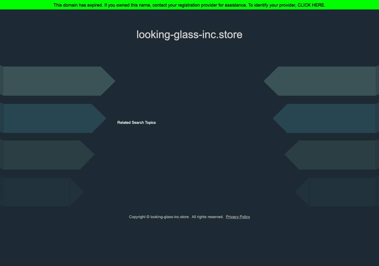 Screenshot of looking-glass-inc.store taken by the zone census on 2026-09-10