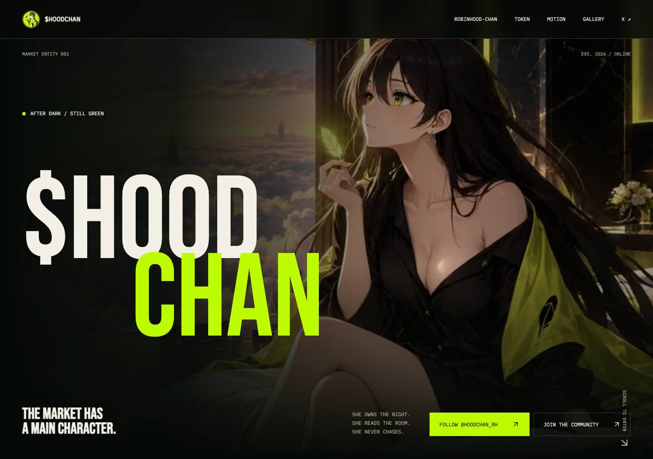 Screenshot of robinhoodchan.xyz taken by the zone census on 2026-09-10