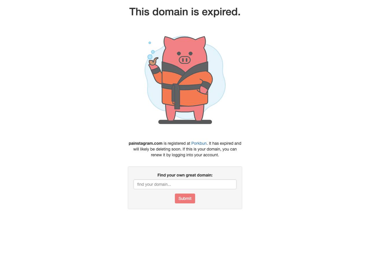 Screenshot of painstagram.com taken by the zone census on 2026-09-14