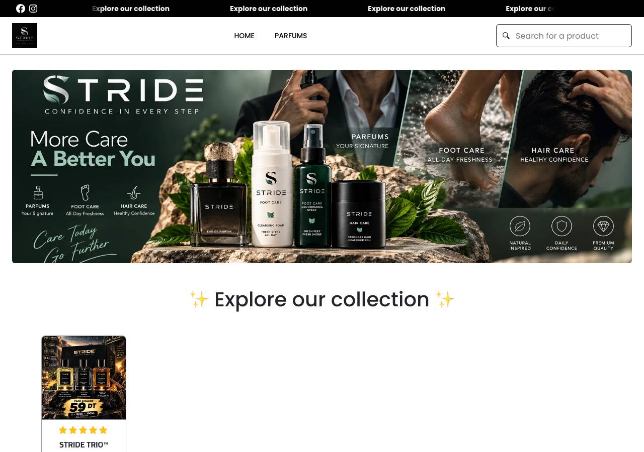 Screenshot of stride-tn.online taken by the zone census on 2026-09-15