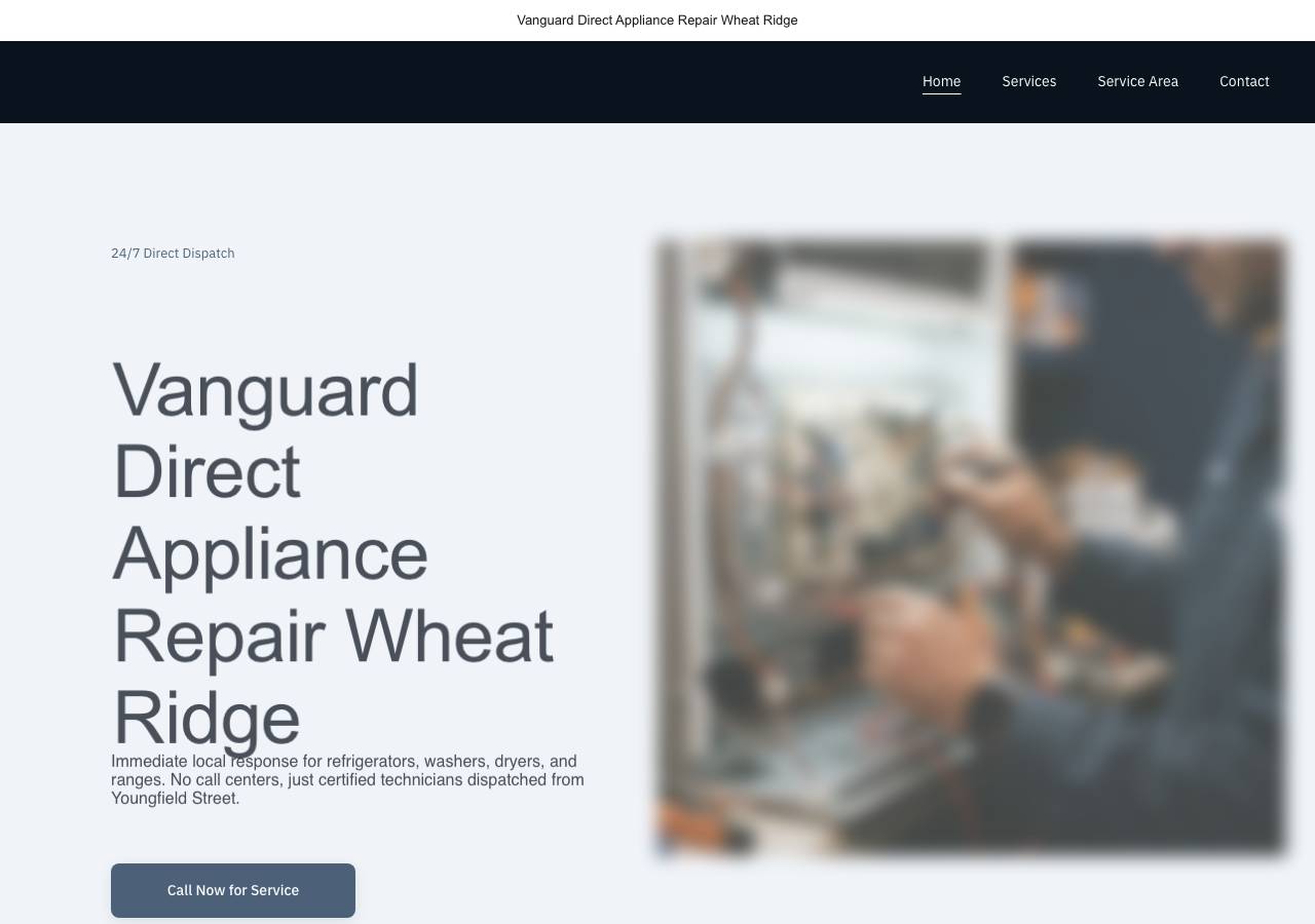 Screenshot of vanguarddirectappliancerepairwheatridge.site taken by the zone census on 2026-09-17