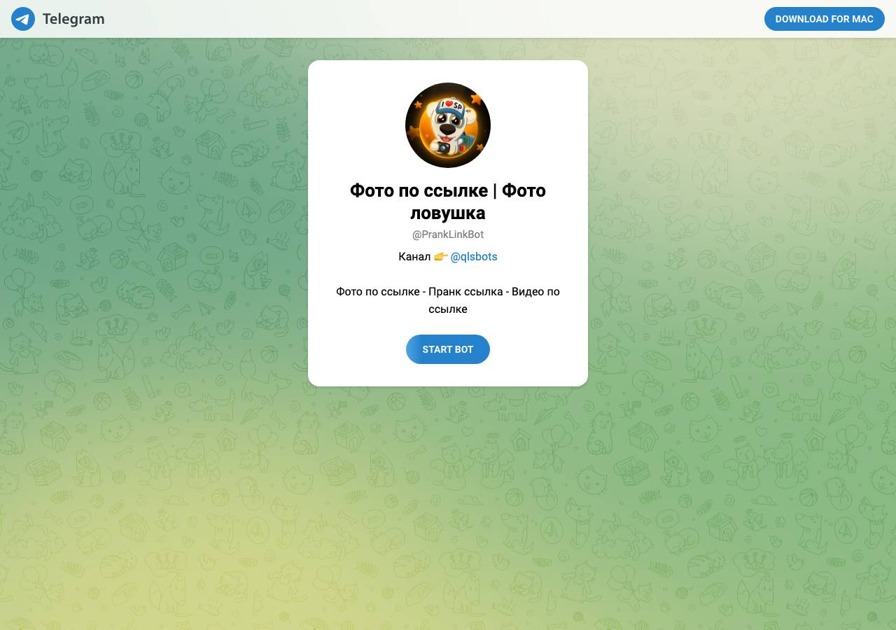 Screenshot of vw-tiktok.com taken by the zone census on 2026-09-18