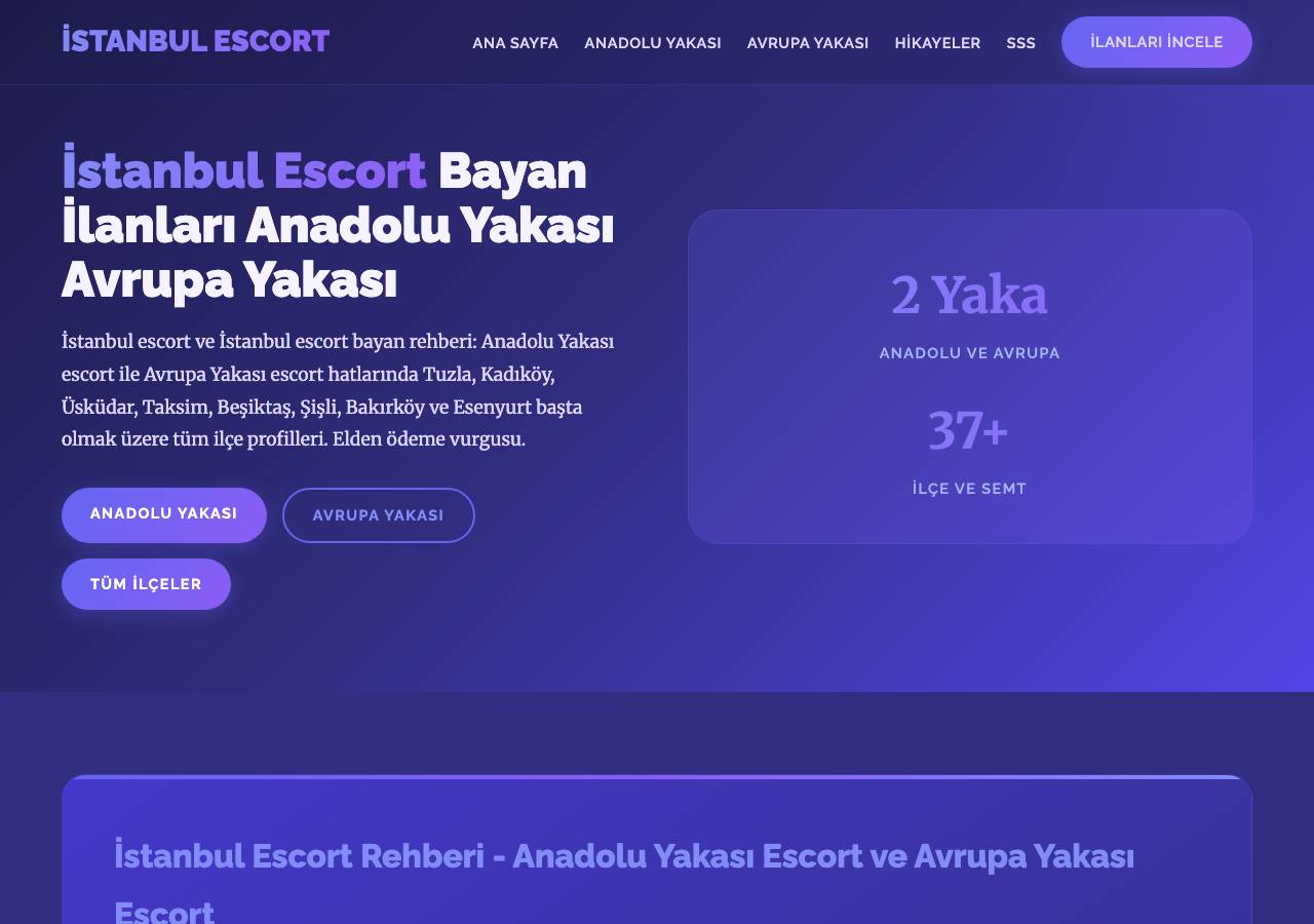 Screenshot of apiopenai.lol taken by the zone census on 2026-09-20