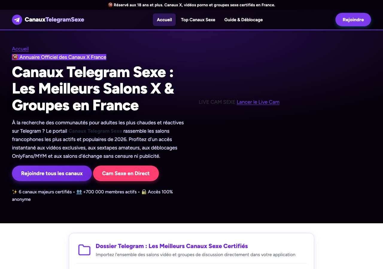 Screenshot of canaux-telegram-sexe.stream taken by the zone census on 2026-10-05
