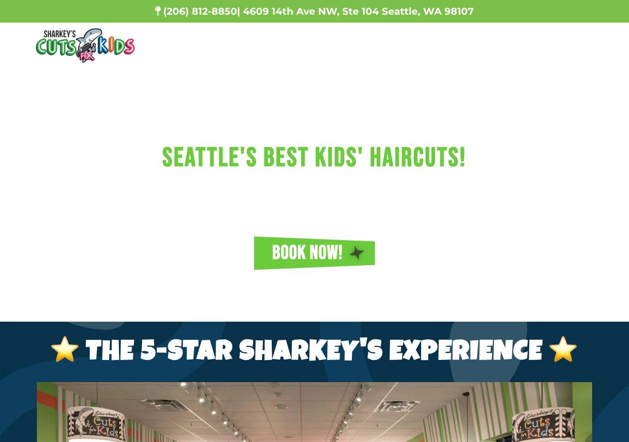 Screenshot of kidshaircutsseattle.com taken by the zone census on 2026-10-10