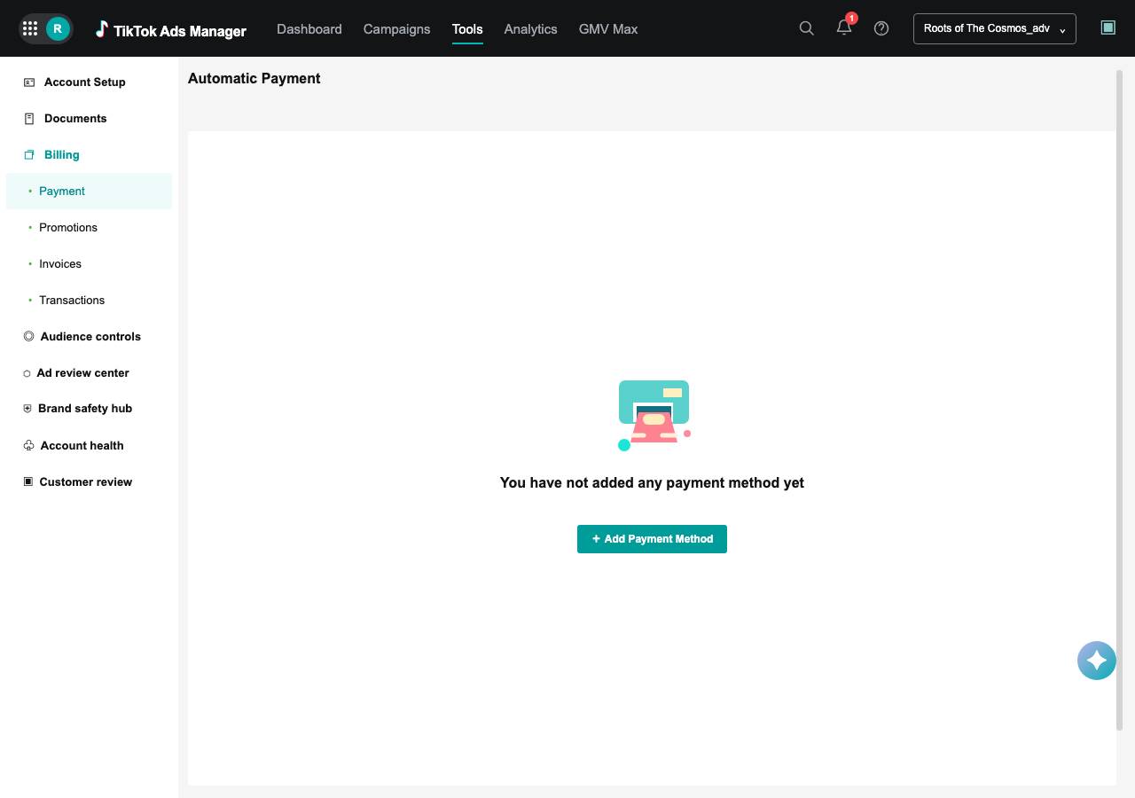 Screenshot of tiktokadsmanager.site taken by the zone census on 2026-10-13