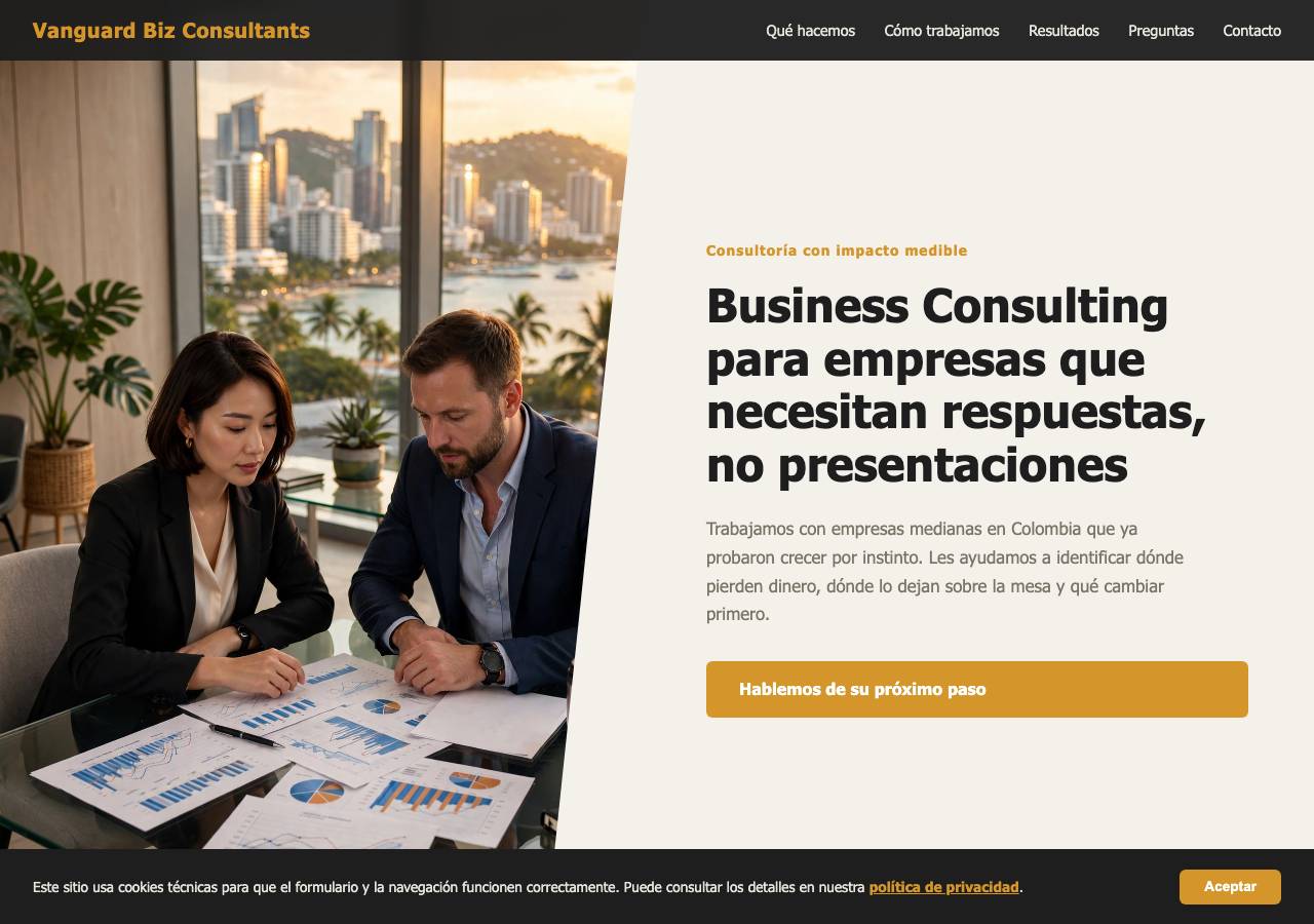 Screenshot of vanguardbizconsultants.cyou taken by the zone census on 2026-10-15