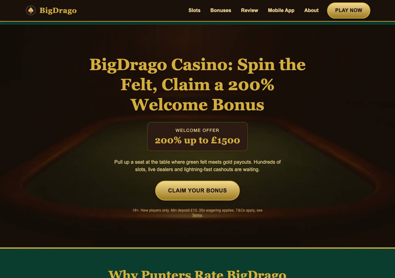 Screenshot of bigdrago.org taken by the zone census on 2026-10-17