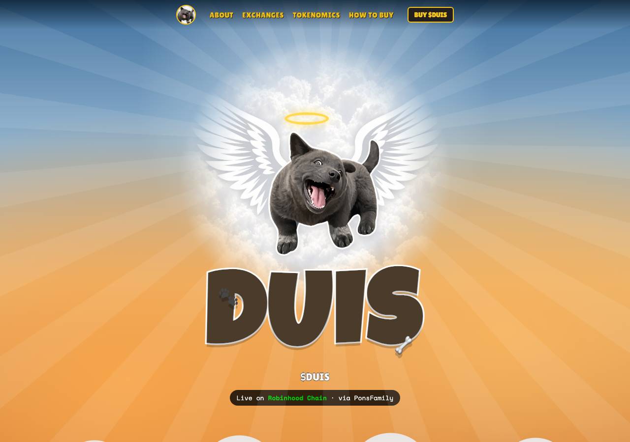 Screenshot of duis.website taken by the zone census on 2026-10-17
