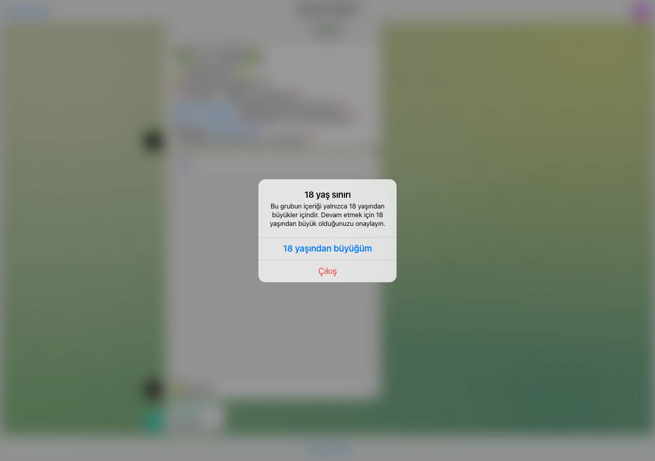Screenshot of cyprussecreststelegram.com taken by the zone census on 2026-10-20