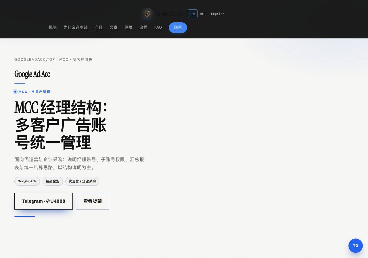 Screenshot of googleadacc.top taken by the zone census on 2026-10-20