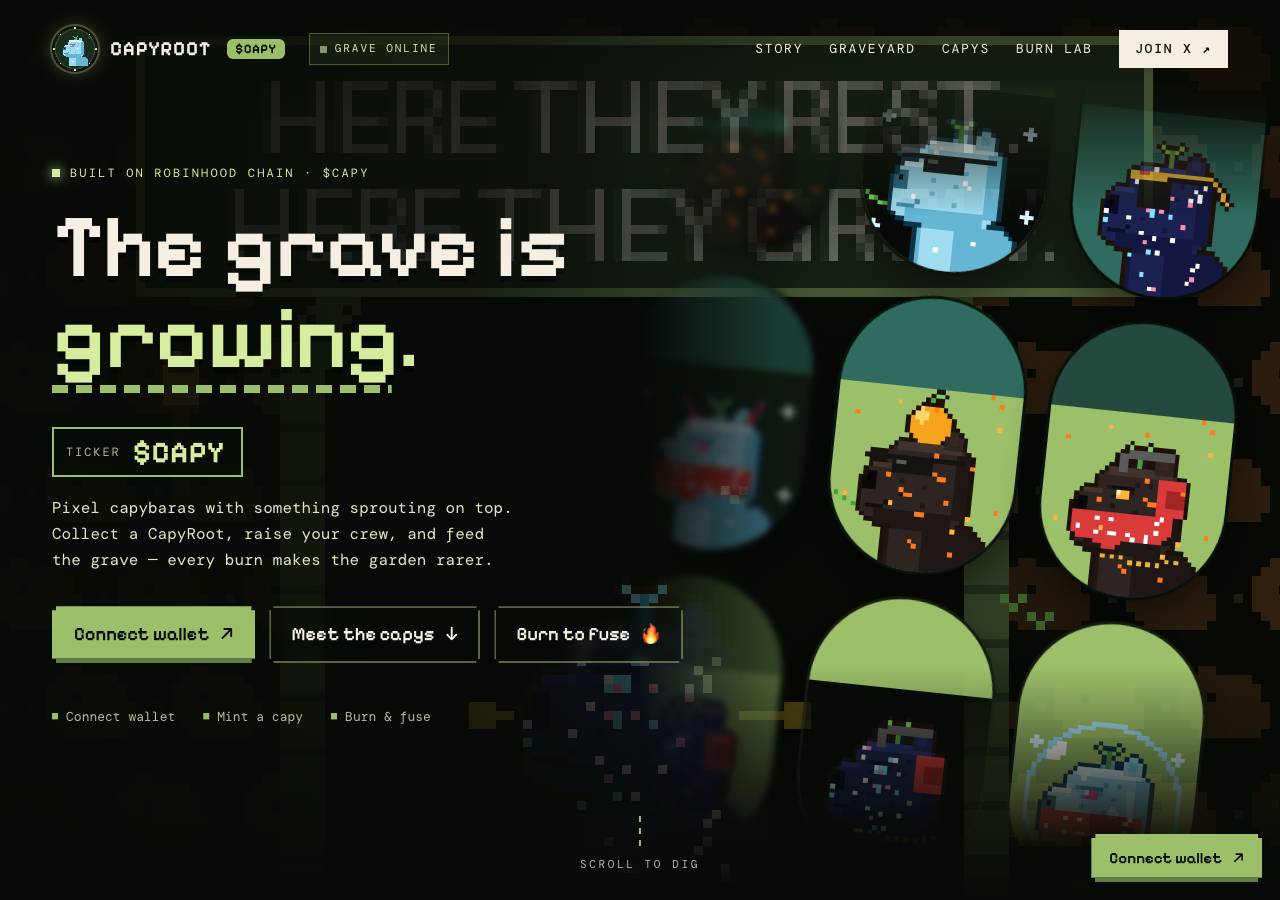 Screenshot of capyroot.fun taken by the zone census on 2026-10-22