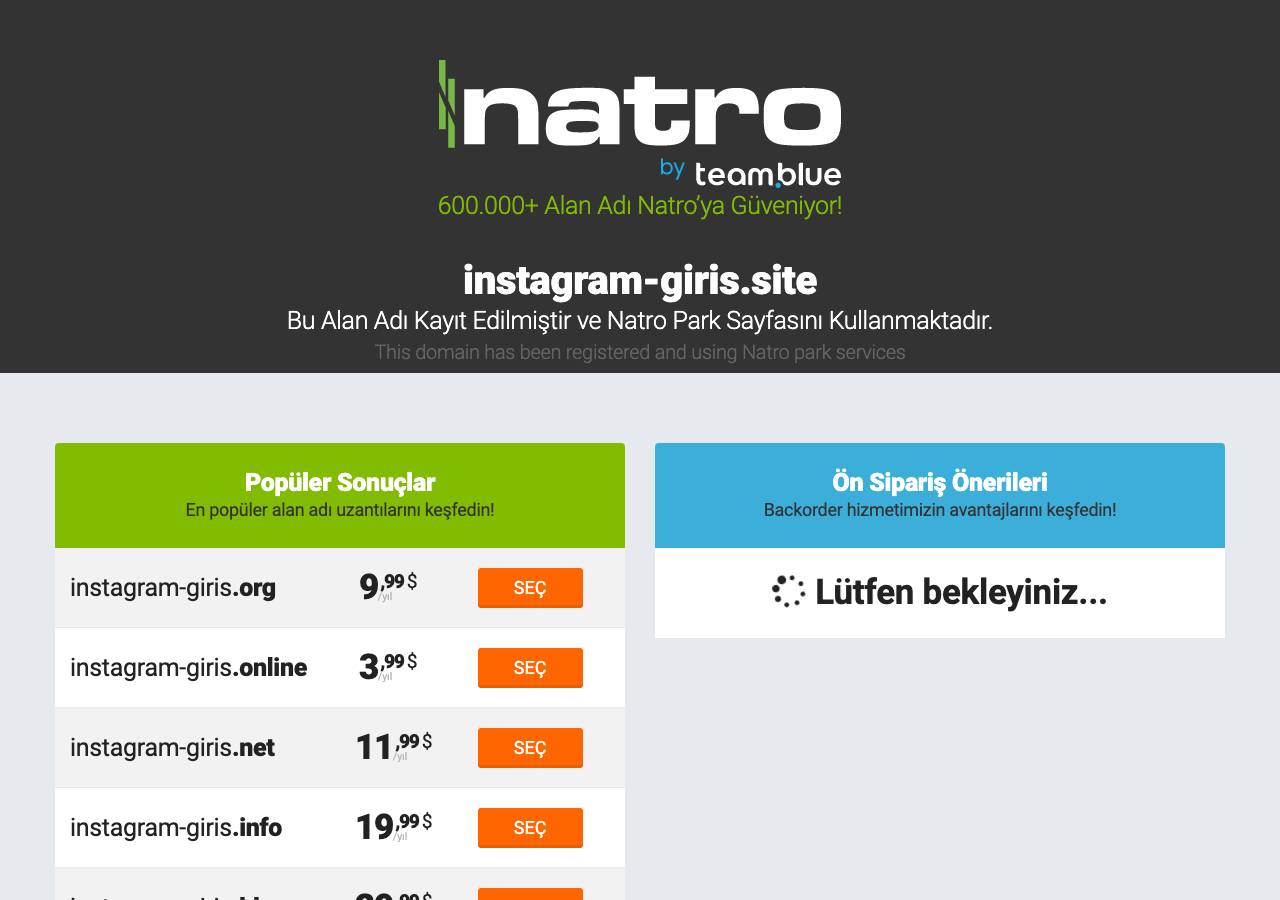Screenshot of instagram-giris.site taken by the zone census on 2026-10-28