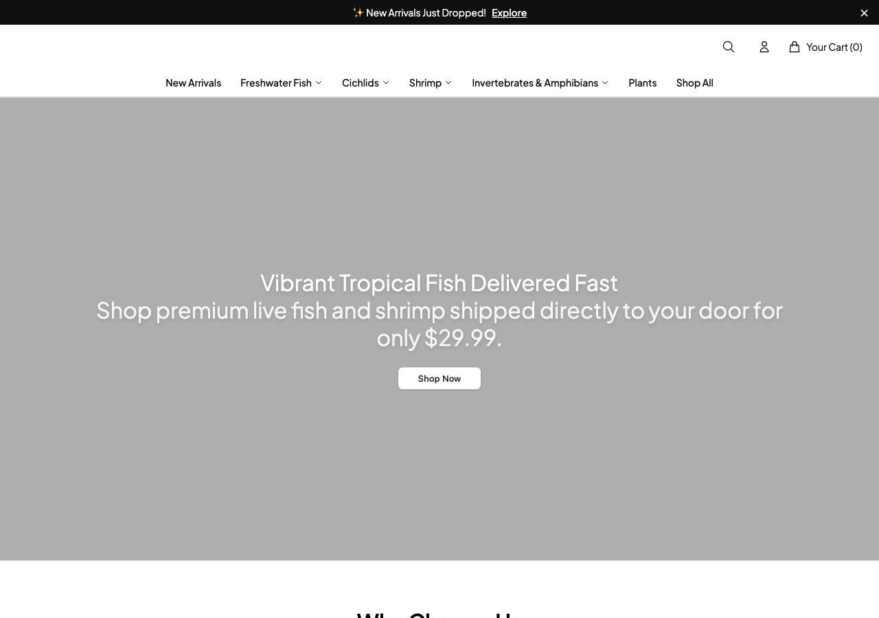 Screenshot of aquahunatropical.shop taken by the zone census on 2026-10-29